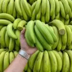 bananaa