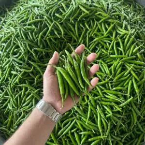 green chilli