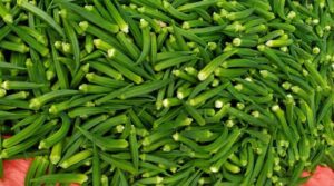 okra.jpg