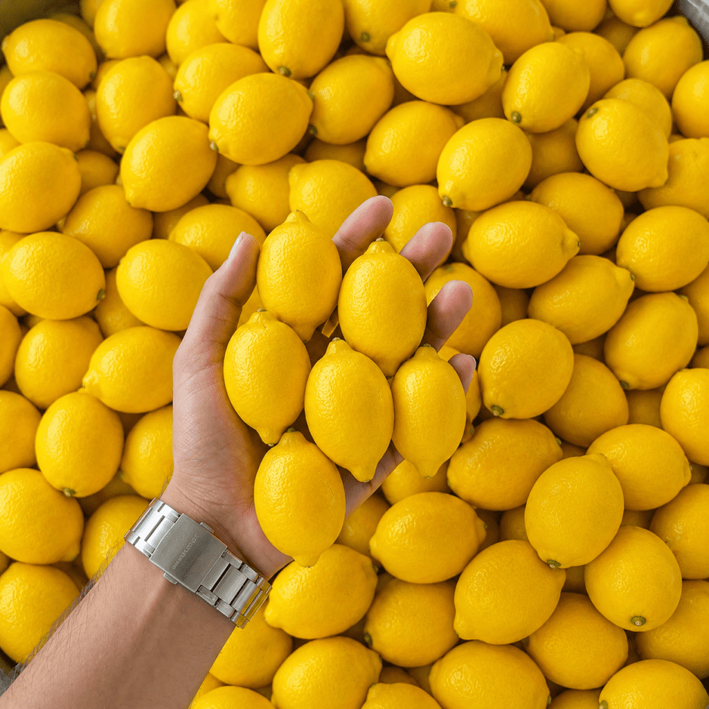 Lemon Suplliers in UAE