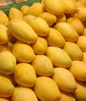 mango1.jpg