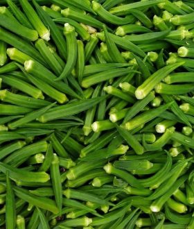 okra.jpg